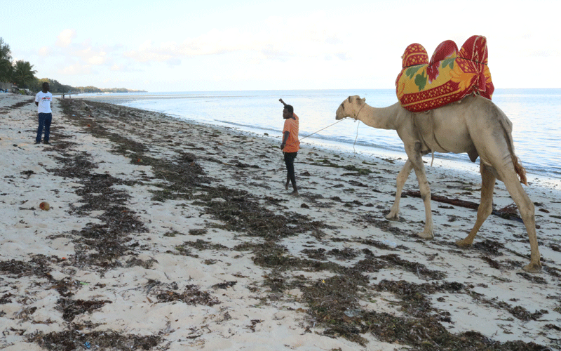 Ten quarantined in Coast, three test negative in Nakuru