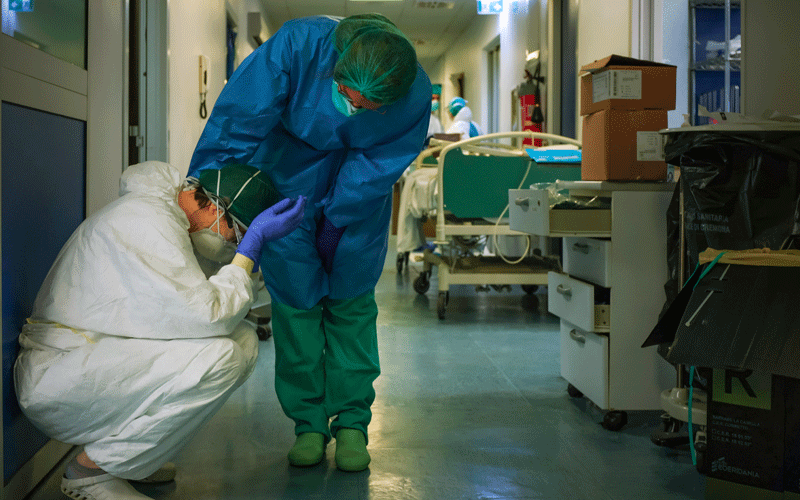 Link between coronavirus pandemic and loss of nature