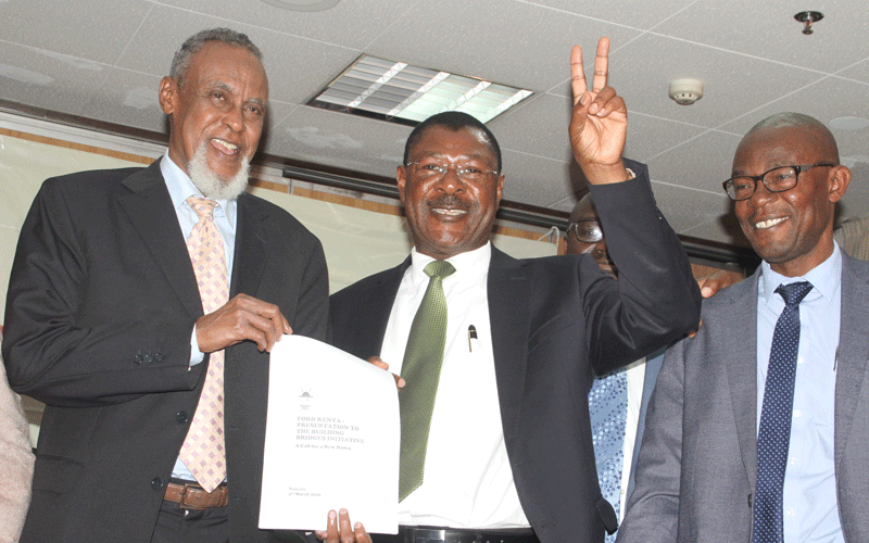 Ford Kenya proposes hybrid system of government to tame poll chaos