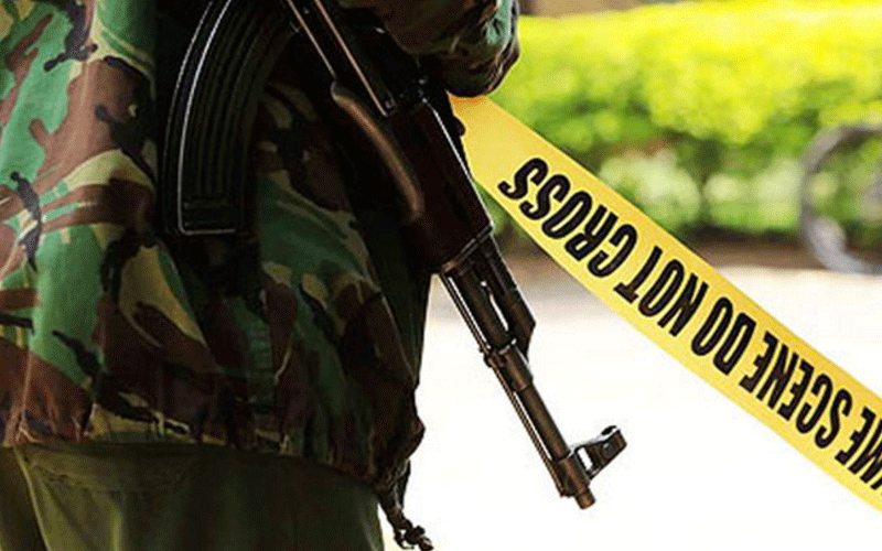 Gunmen shoot dead police officer, steal firearm in Suswa