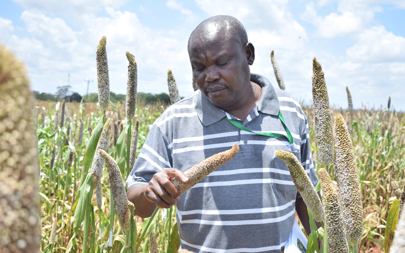 Researcher, seed firms to boost food production