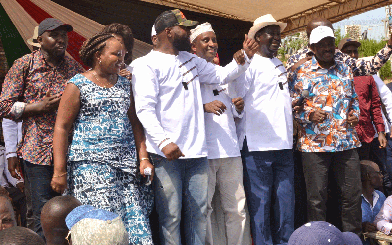Political activity shrinks as BBI team insists agenda on course