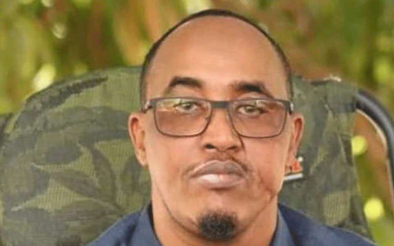 Jubbaland fugitive hiding  in Nairobi, Amnesty claims