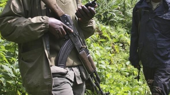 DR Congo’s Virunga National Park hit by ‘deadliest’ attack