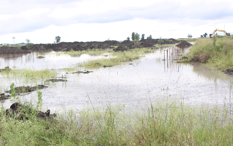 State repossesses 1,600-acre land in Ruai linked to Ruto