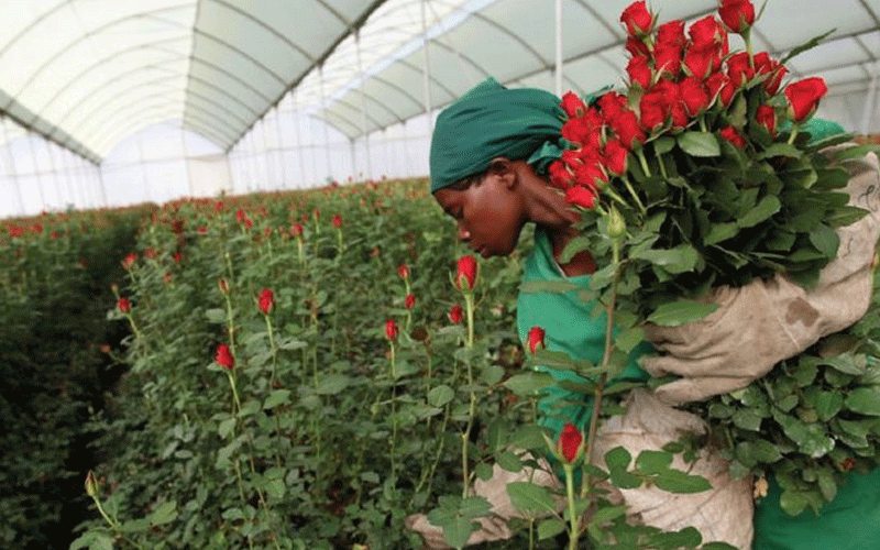 Flower exporters urge state to cut freight cost due to pandemic