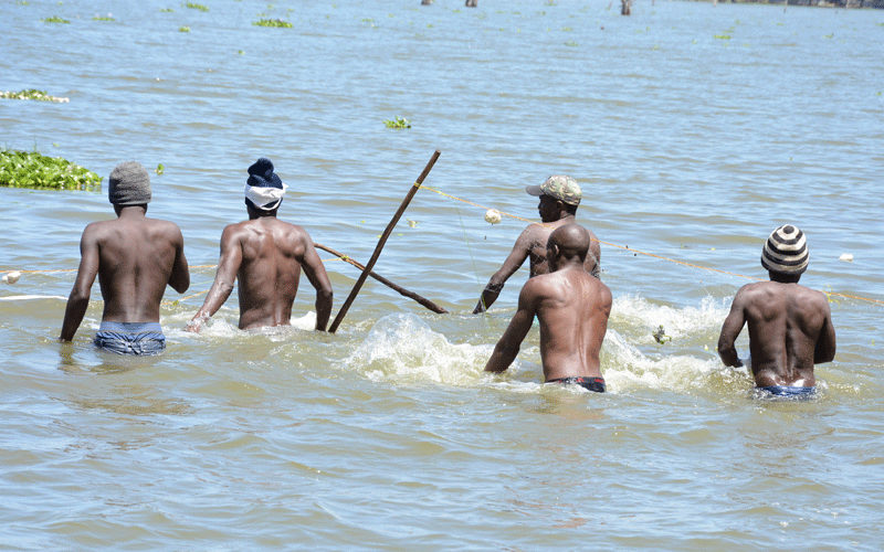 Nakuru bans night fishing in Lake Naivasha, ferrying fish in matatus