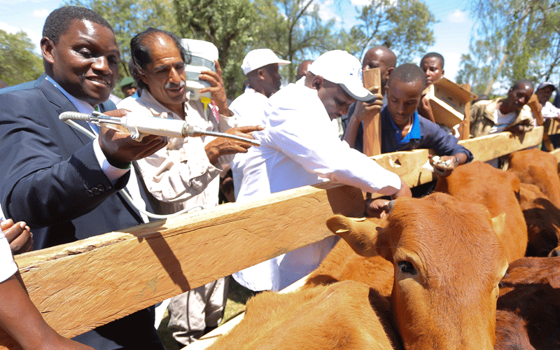 UK, Egerton varsities pact to benefit Kenyan livestock keepers