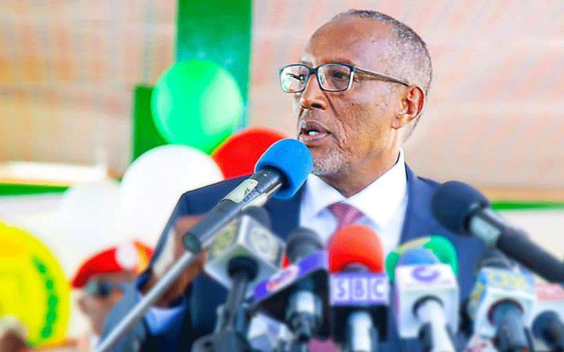 Somaliland government and opposition united in fight against COVID-19