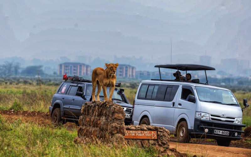 Tour guides beg for stipends  from Sh500m tourism budget