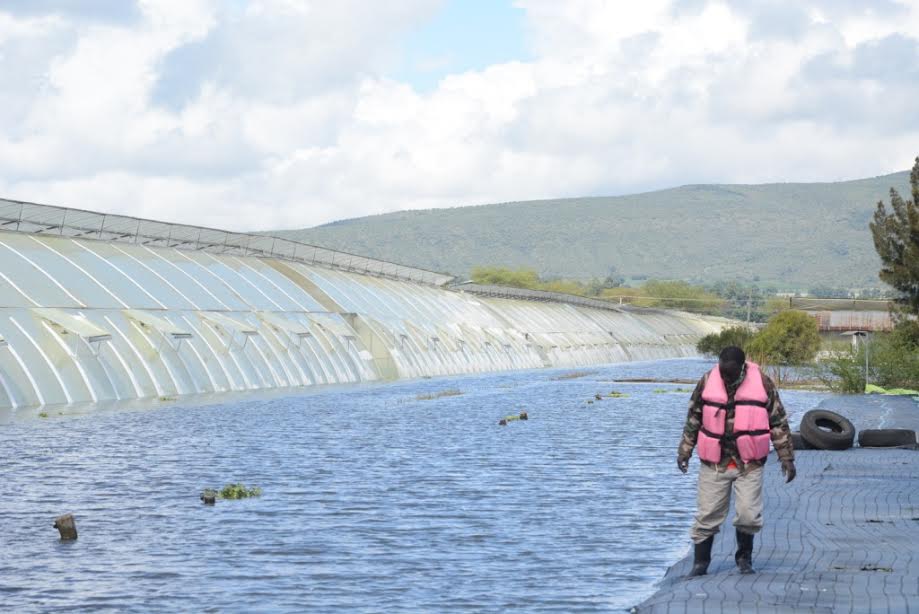 Kenyans feel pinch of climate change as lake water level hits decades’ high