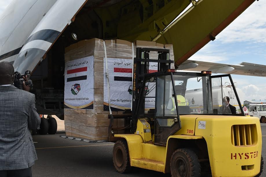 Egypt sends anti-coronavirus medical aid to South Sudan