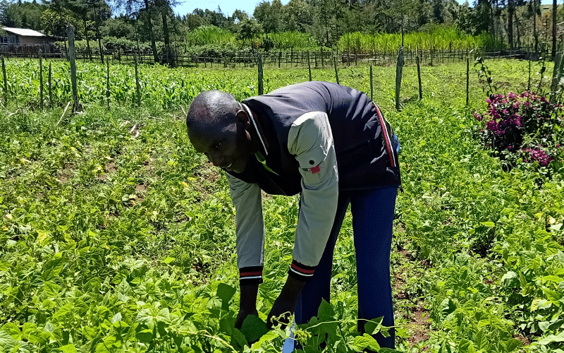 Farming replaces whistles and stop-watches for athletics tactician Kemei during Covid-19 lockdown