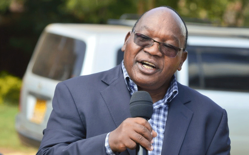 Kirinyaga MPs abandon Tanga Tanga camp, vow allegiance to Uhuru