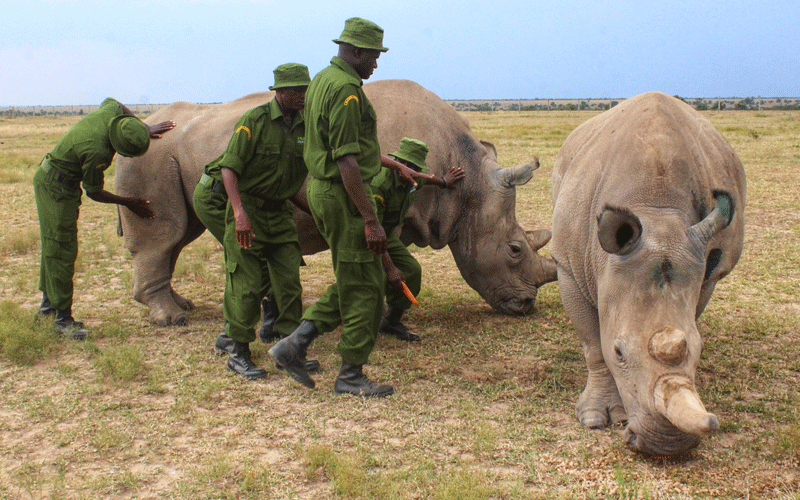 Conservancies worry 		over poaching during lockdown