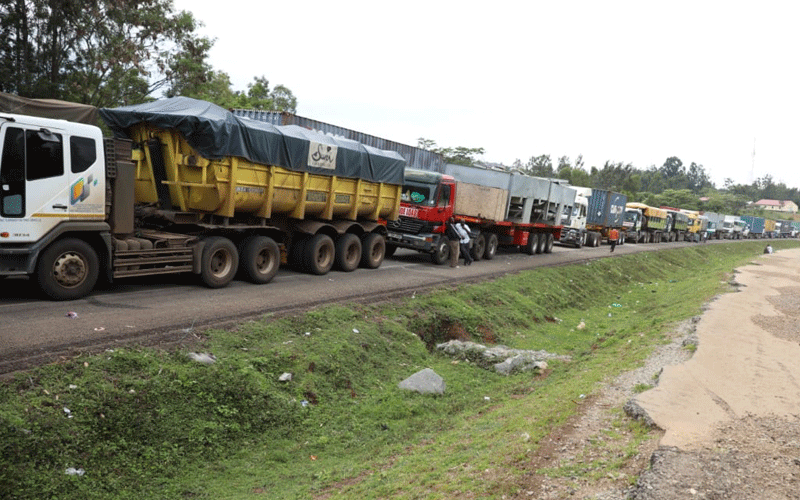 Trucks line up at Namanga one-stop border point (OSBP) as they await clearance. Photo/PD/Christine Musa.