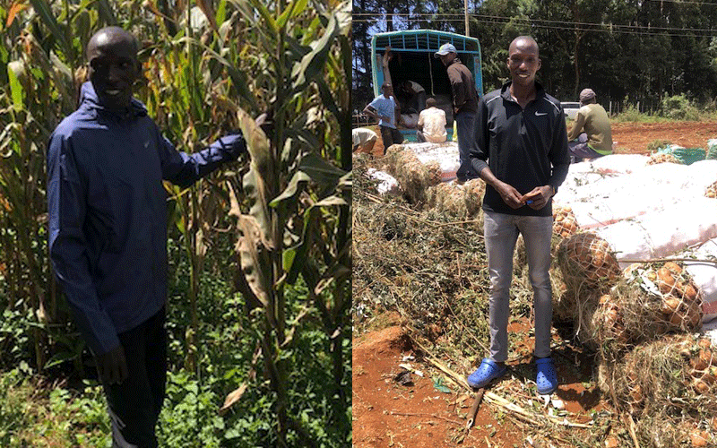 Cheruiyot seeks solace in farming as Covid-19 bites