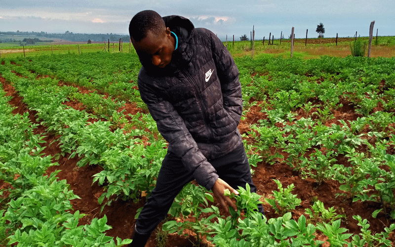 Kirui turns to farming as coronavirus bites