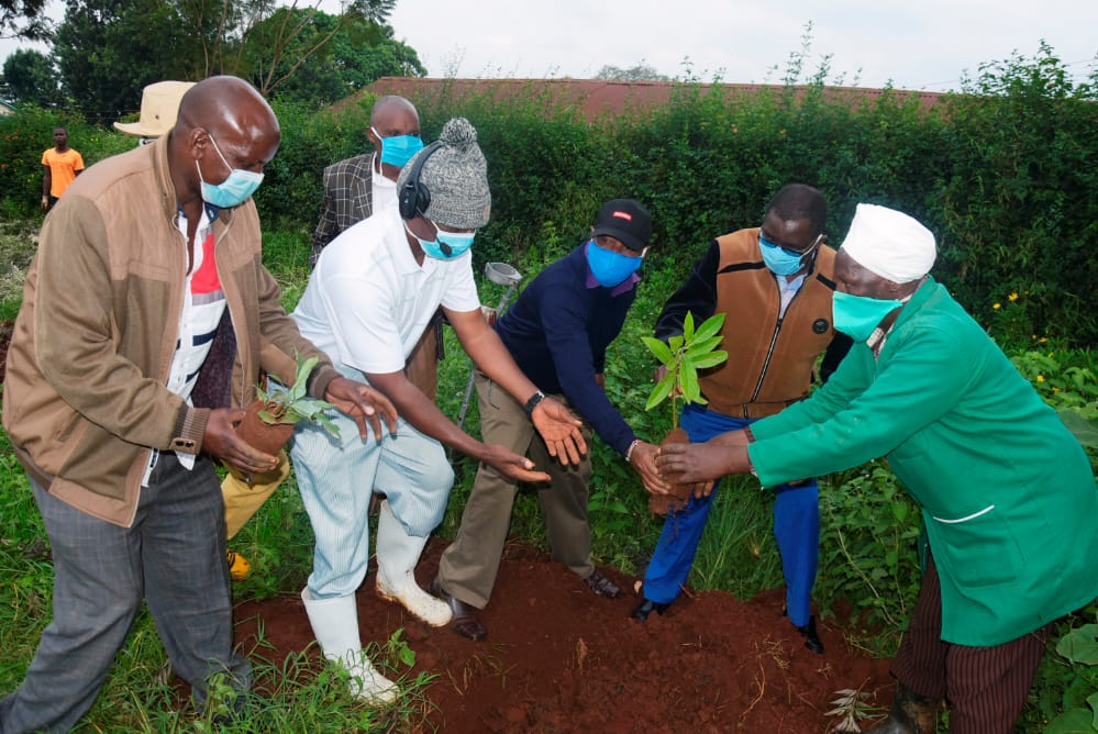 Embrace eco-friendly funeral options to help conserve environment -Kenyans told