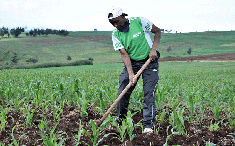 Coronavirus brings silence in Nyahururu