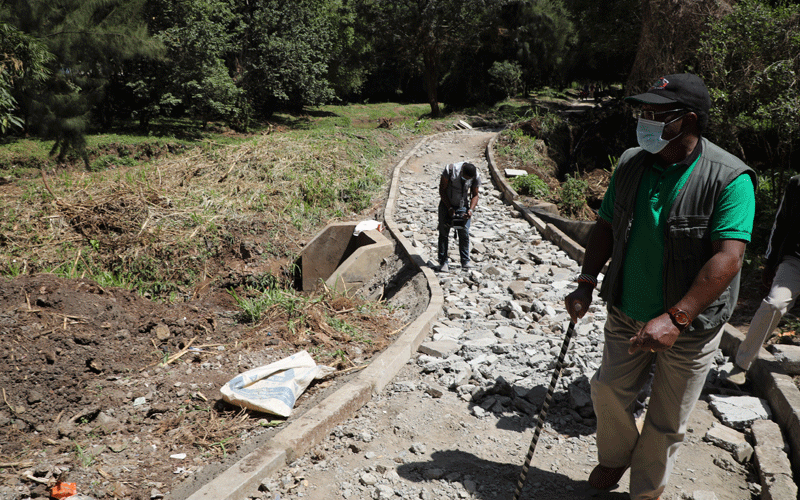 See you in court, CS tells developer over restored Michuki park