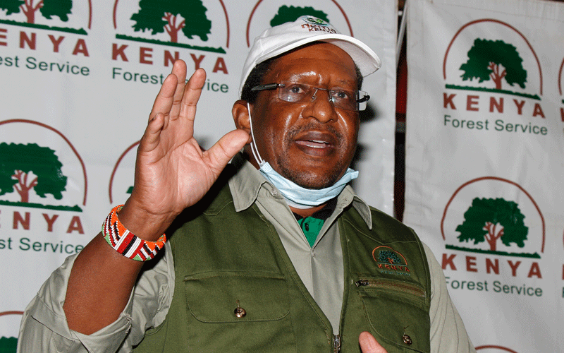 Government to invest in commercial forestry