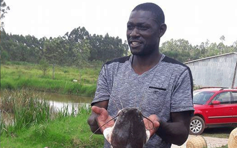 Francis Chinjili now fishing profits