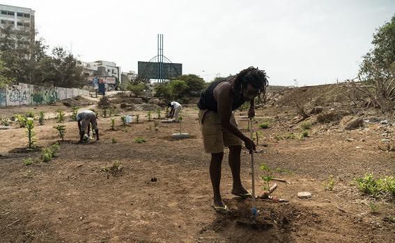 Senegalese civil society fighting excessive coastal urbanization with small gardens