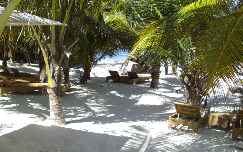 Coast tourism circuit slowly roaring back to life as Diani hotels re-open