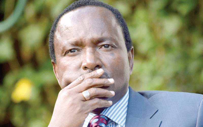 I’ll not deputise anyone, Kalonzo tells Ruto allies