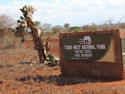 Fire breaks out in Tsavo conservation area