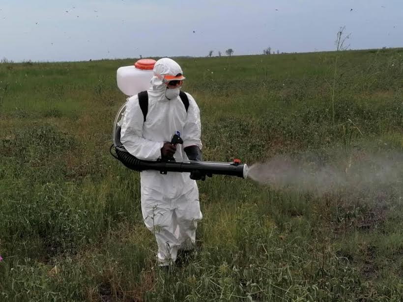 Namibia experiences 2nd red locust outbreak