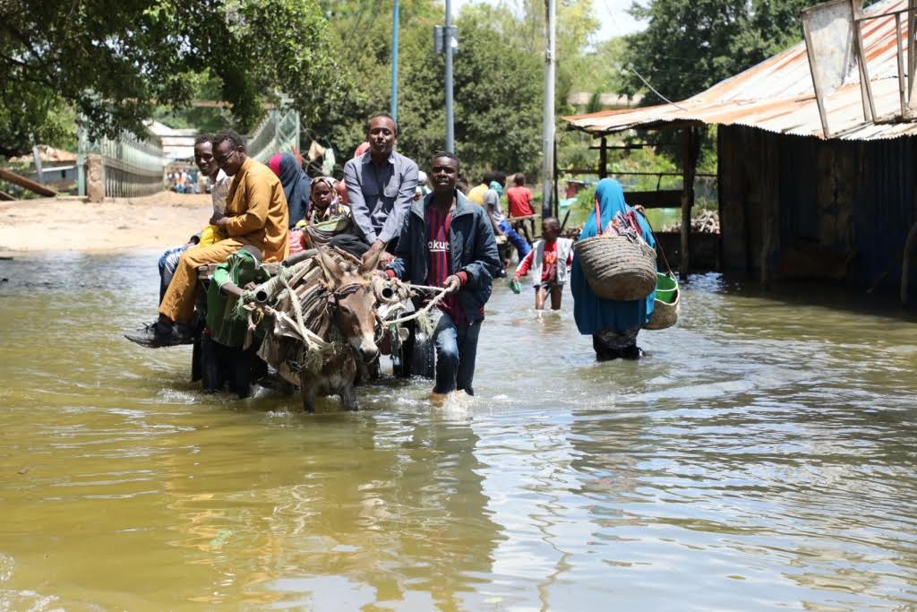 UNHCR appeals for more relief aid to displaced Somalis
