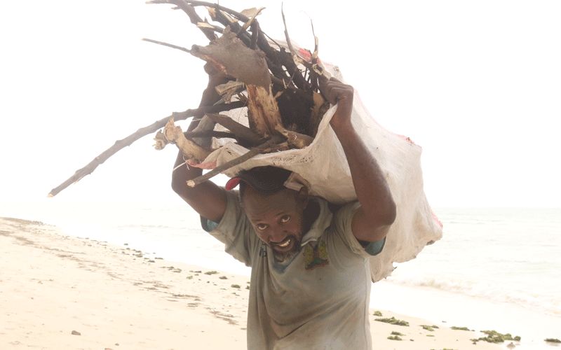 Life is a beach, let us light some firewood to keep hope alive