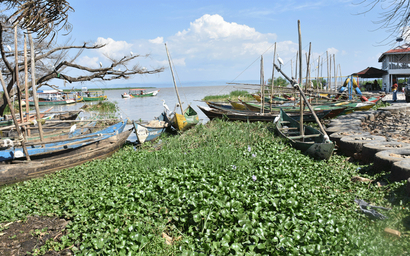 Traders on Lake Victoria shores feel pinch of pandemic