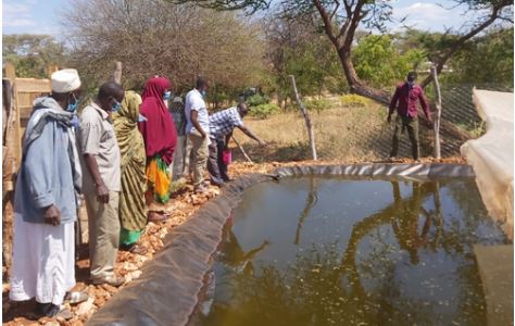 Pastoralist communities in Isiolo turn to fish farming