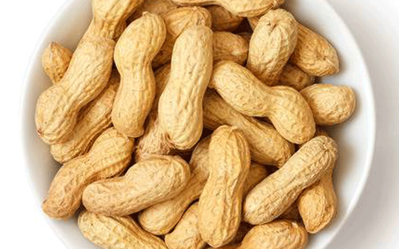 Kenya Nut, Proparco mull financing deal