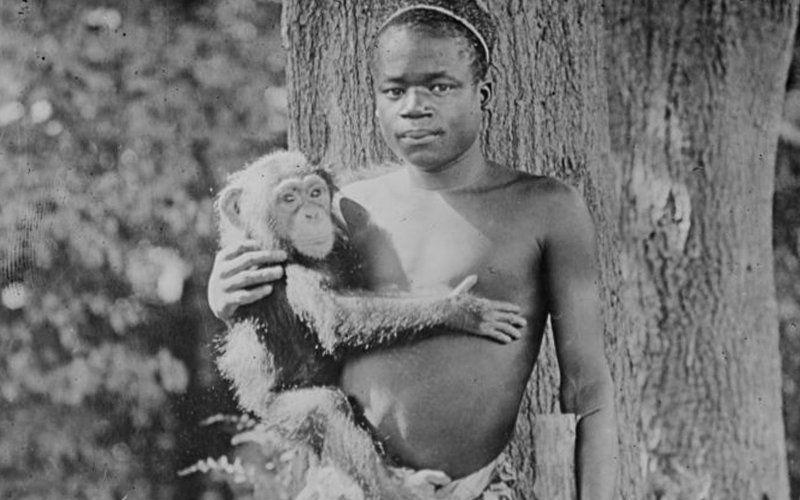Why a zoo took 114 years to apologise to caged Congolese