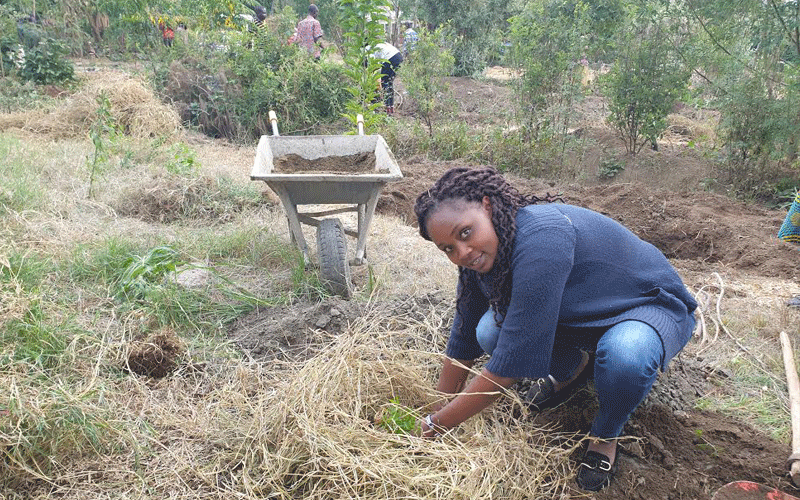 Nakuru farmers turn to food forest in fighting hunger