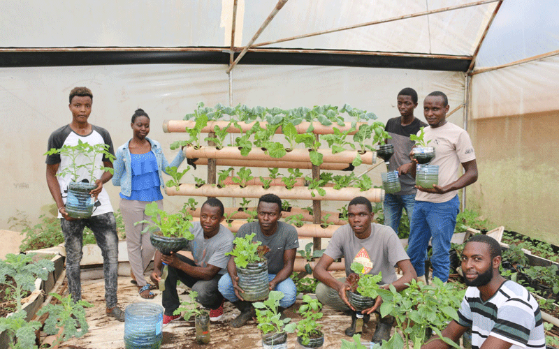 JKUAT student sets up kitchen gardens to feed nation