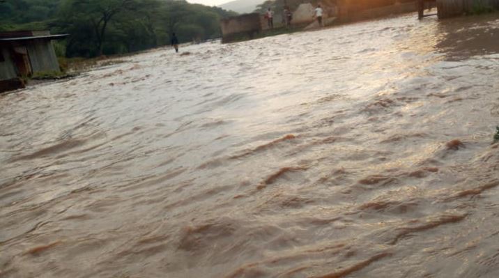 Two organisations tasked to do feasibility study on Baringo floods