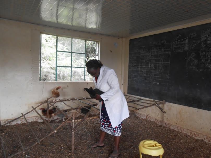 Kenyan workers hope forbetter pay as COVID-19 cases decline