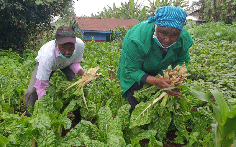 Embracing organic farming for better health