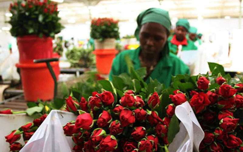 Pandemic set to drag horticulture exports down by 20pc