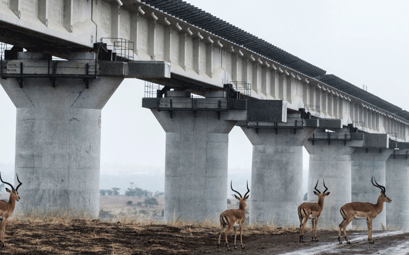 Report: Parks have lost land to infrastructural projects