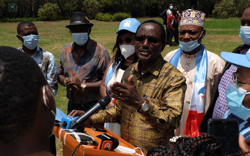 Mudavadi, Kalonzo call for sobriety on debate