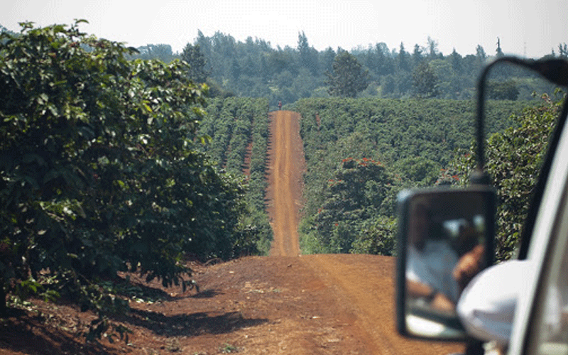 Keeping our family coffee business picking