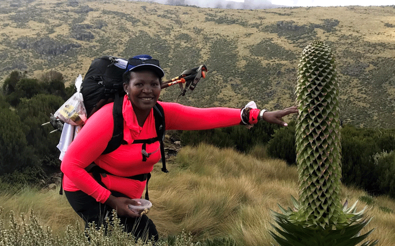 Survivors scale Mt Kenya for  cancer recovery awareness