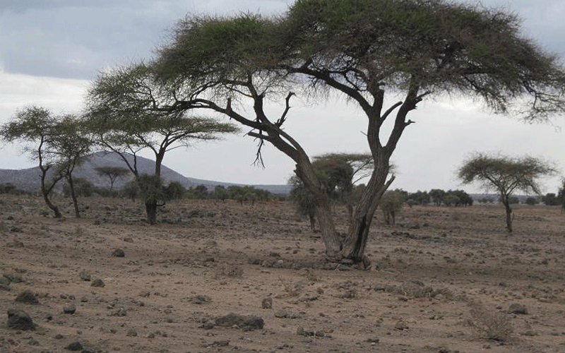 Met urges farmers to adopt new seeds to survive low rains