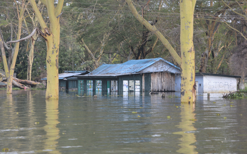 Rising Lake Naivasha water levels leave eight dead